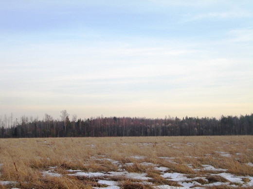 23683 (a): :1024x768